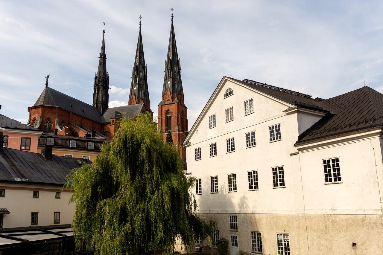 Uppsala domkyrka sett från Fyrisån