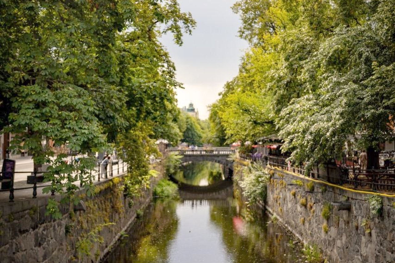 Fyrisån mellan trädkronorna i centrala Uppsala
